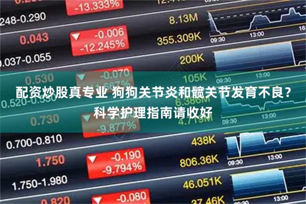 配资炒股真专业 狗狗关节炎和髋关节发育不良？科学护理指南请收好