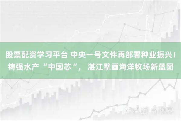 股票配资学习平台 中央一号文件再部署种业振兴！铸强水产 “中国芯“， 湛江擘画海洋牧场新蓝图