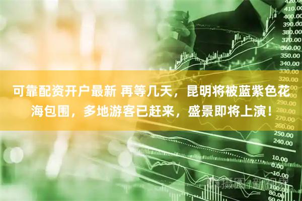 可靠配资开户最新 再等几天，昆明将被蓝紫色花海包围，多地游客已赶来，盛景即将上演！